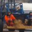 Видео. Находчивые коммунальщики берегут силы - Kaluga-Poisk.Ru