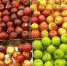 Руководители магазинов не извещали о ввозе подкарантинной продукции на территорию Калужской области - Россельхознадзор
