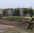 В новом городском парке Калуги появились зеленые газоны - Телерадиокомпания Ника