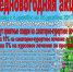 Предновогодняя акция! - Санаторий Спутник