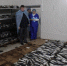 Горобцов предложил калужской рыбопереработке быть заметнее в магазинах - iKaluga.Com