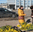 Нелегальным цветам – НЕТ! - Городская управа