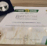 В Агентстве развития бизнеса Калужской области подвели итоги года - Администрация Калужской области