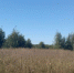 Не исполненное предписание надзорного органа обернулось штрафом - Россельхознадзор
