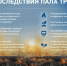 Выполнение правил пожарной безопасности на землях сельхозназначения – основа профилактики гибели леса от огня - Администрация Калужской области