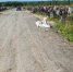 Фото пресс-службы Правительства Калужской области - Kaluga-Poisk.Ru