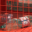 Раздельный-сбор-мусора4-0611.jpg - ГТРК Калуга