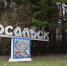 В Калужской области продолжается работа по созданию городских лесничеств - Администрация Калужской области