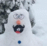 Фото министерства природных ресурсов и экологии Калужской области - Kaluga-Poisk.Ru
