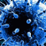 Информация о ситуации с коронавирусом в Калужской области на 31 января - Kaluga-Poisk.Ru