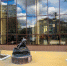 Калужскому ученому коту вернули очки - Телерадиокомпания Ника
