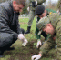В Кантемировской дивизии расцветут розы - Городская Дума