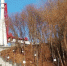 Лестница около музея космонавтики в Калуге оказалась под угрозой обрушения - Сетевое издание Калужские новости