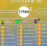 Четыре человека скончались от коронавируса в Калужской области 2 июля - Pressa40.Ru