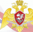 Важная информация для участников дорожного движения - Росгвардия