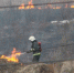 Фото Kaluga-Poisk.ru - Kaluga-Poisk.Ru