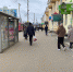 Весной в Калуге 33 года ездят на дачу и продают багульник - Калужский перекрёсток