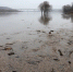 Вода спадает во всех калужских реках, кроме Жиздры - Знамя