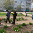 В микрорайоне Куровской прошел субботник - Городская управа