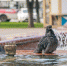 В Калуге безопасными для купания признали всего четыре водоёма - Знамя