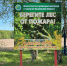 В 2022 году в калужских лесах благоустроят 400 площадок для отдыха туристов - Городская управа