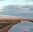 Фото Kaluga-poisk.ru - Kaluga-Poisk.Ru