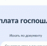 Фото: скрин сайта "Госуслуги" - Kaluga-Poisk.Ru