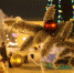 Фото Kaluga-Poisk.ru - Kaluga-Poisk.Ru
