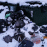 Фото: Kaluga-poisk.ru - Kaluga-Poisk.Ru