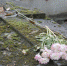 Фото Kaluga-Poisk.ru - Kaluga-Poisk.Ru