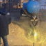 Фото: Дмитрий Удалов, Tg - Kaluga-Poisk.Ru