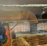 В Калуге управляющие компании привлекут к ответственности после аварии на теплосетях на Правобережье - Телерадиокомпания Ника