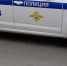 Жительница Псковской области обокрала двенадцать калужских квартир - Kaluga.Sm.News