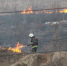 Фото Kaluga-Poisk.ru - Kaluga-Poisk.Ru