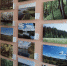 В Калужской области открылись две фотовыставки - Телерадиокомпания Ника
