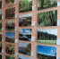 В Калужской области открылись две фотовыставки - Калужский перекрёсток