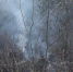 Лесной-пожар-0514.jpg - ГТРК Калуга