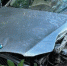 В Калуге разбились BMW и МАЗ - Kaluga-Poisk.Ru