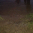 водоем, мчс - Знамя