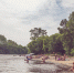beach people boat lake river summer 225 pxhere.com - Знамя