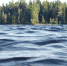 sea coast forest ocean shore wave 9528 pxhere.com - Знамя