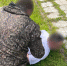 В Калужской области мужчина подозревается в даче взятки - Следственный комитет