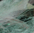 28d3b2ee 6881 49e5 b1f8 0606f7ad5299 - Знамя