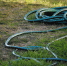 water nature grass outdoor drop growth 756118 pxhere.com - Знамя