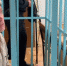 Фото: Ника Тв, nikatv.ru/public/user_upload/files/2023/09/(6).png - Kaluga-Poisk.Ru