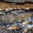 water rock creek wildlife stream autumn 151062 pxhere.com - Знамя