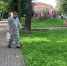 Скверы и площади Калуги повторно обработали от клещей - Телерадиокомпания Ника