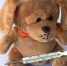 teddy dog stuffed animal ill injured fever association sad 996924.jpg!s1 - Знамя