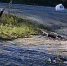 Фото: скрин видео ЦУР - Kaluga-Poisk.Ru