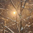 Фото Kaluga-Poisk.ru - Kaluga-Poisk.Ru
